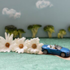 Driving Miss Daisy (Chain)