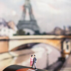Last Tango in Paris